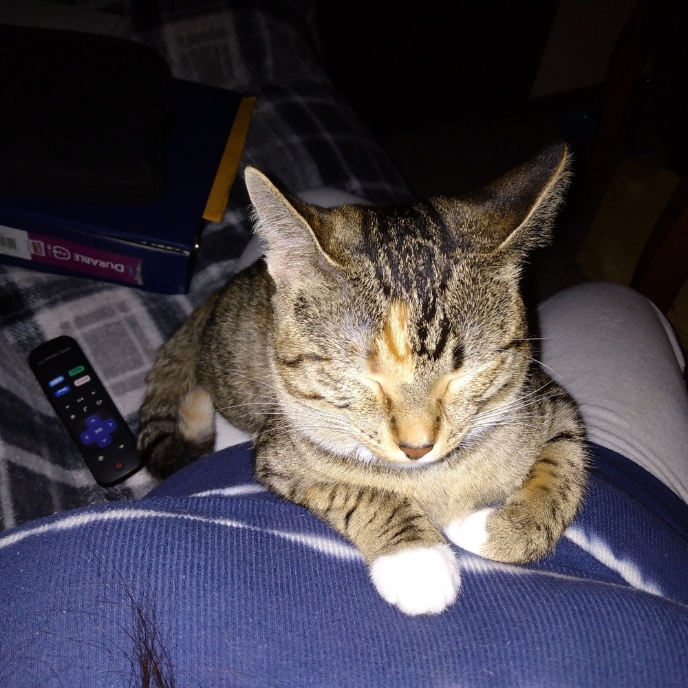 Meet your Posher, Jolene